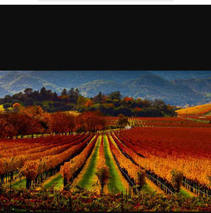 Meet your Posher, Inku